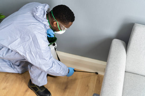 Best Pest Exclusion Services  in Buckhead, GA